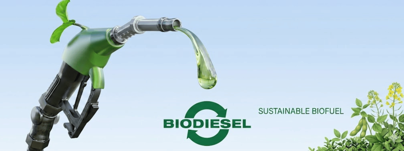 Biodiesel Oil Manufacturers in India