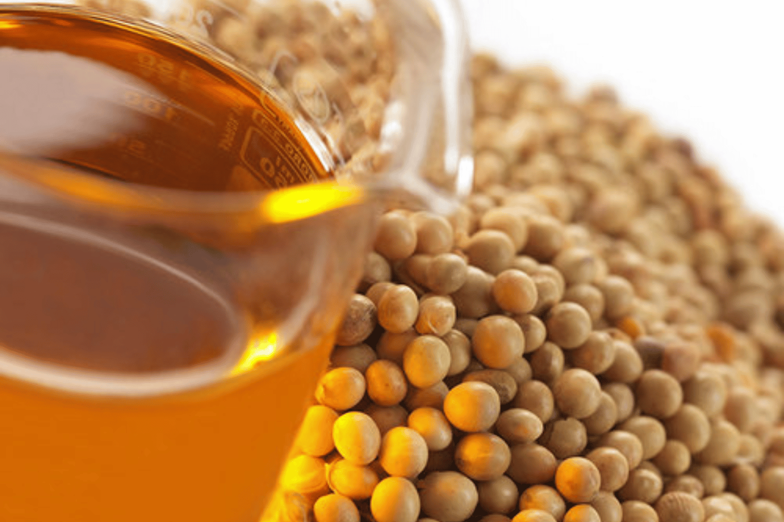 Crude Soya Oil Suppliers