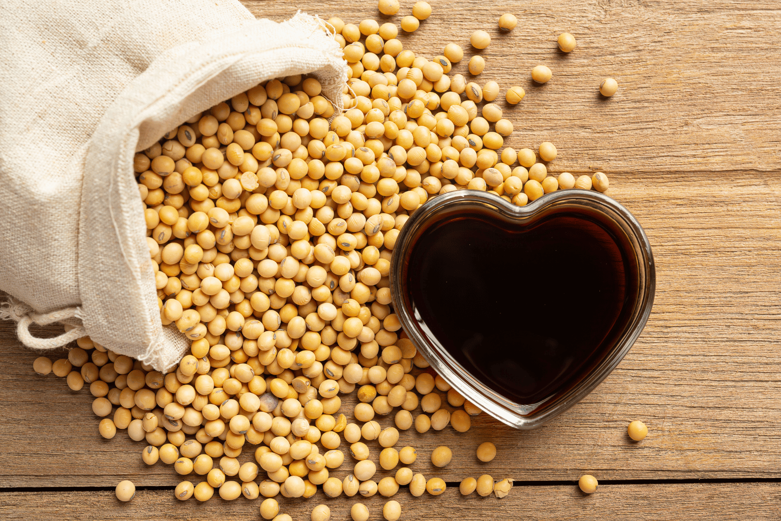 Crude Soya Oil Suppliers