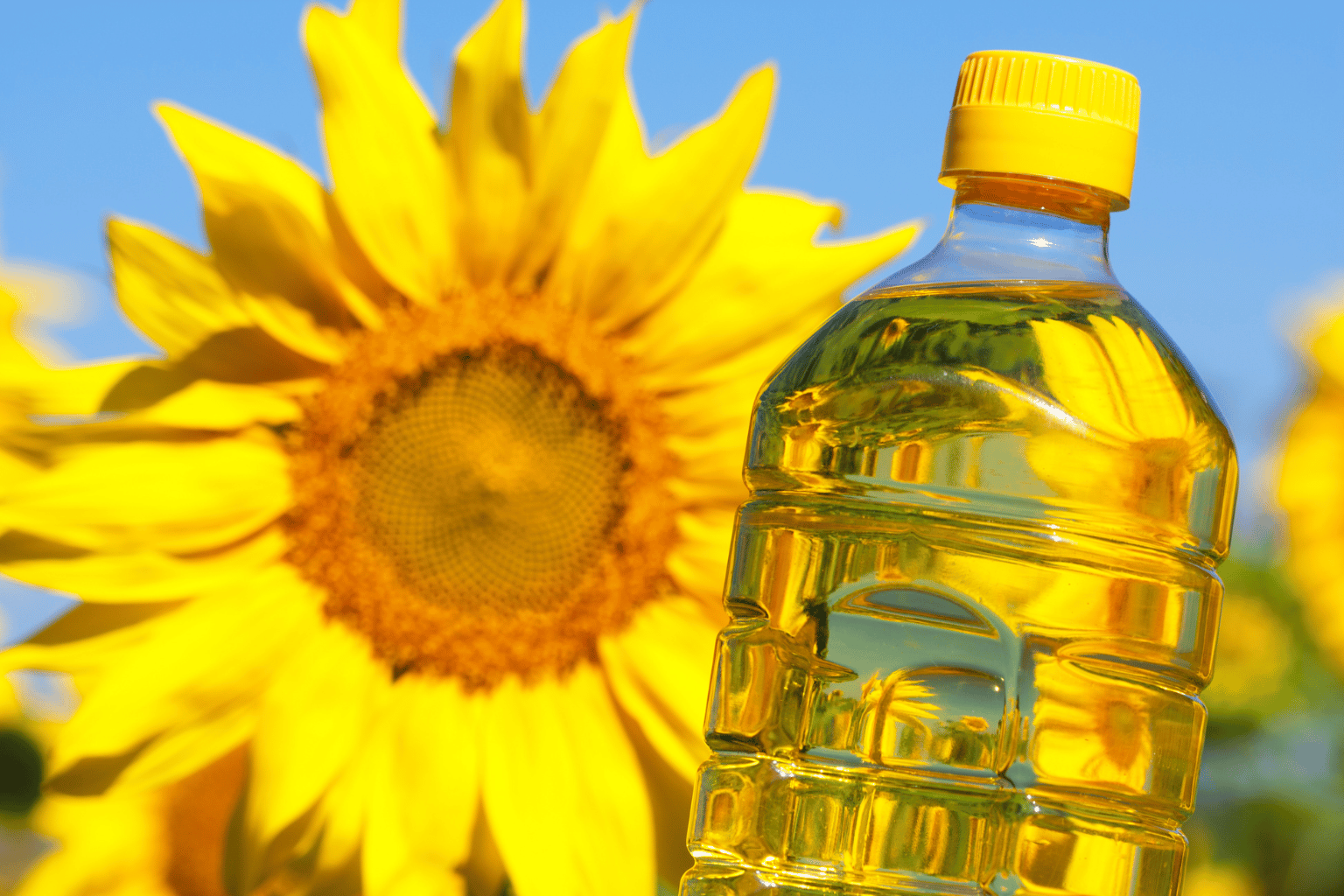 Crude Sunflower Oil Manufacturers in India