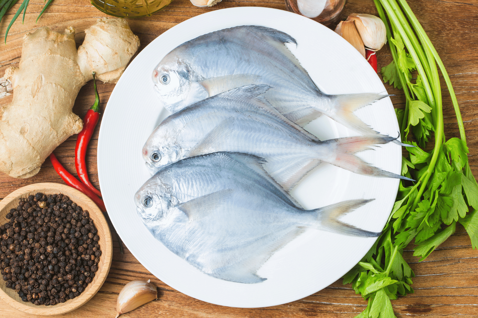 Fresh and Frozen Fish Suppliers in India (12)