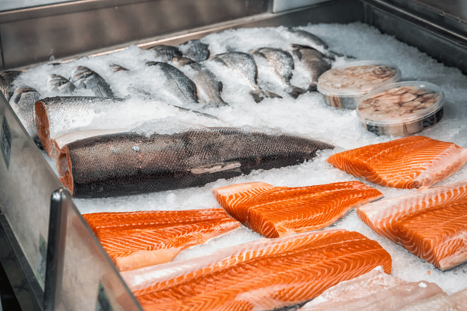 Fish Trader in India