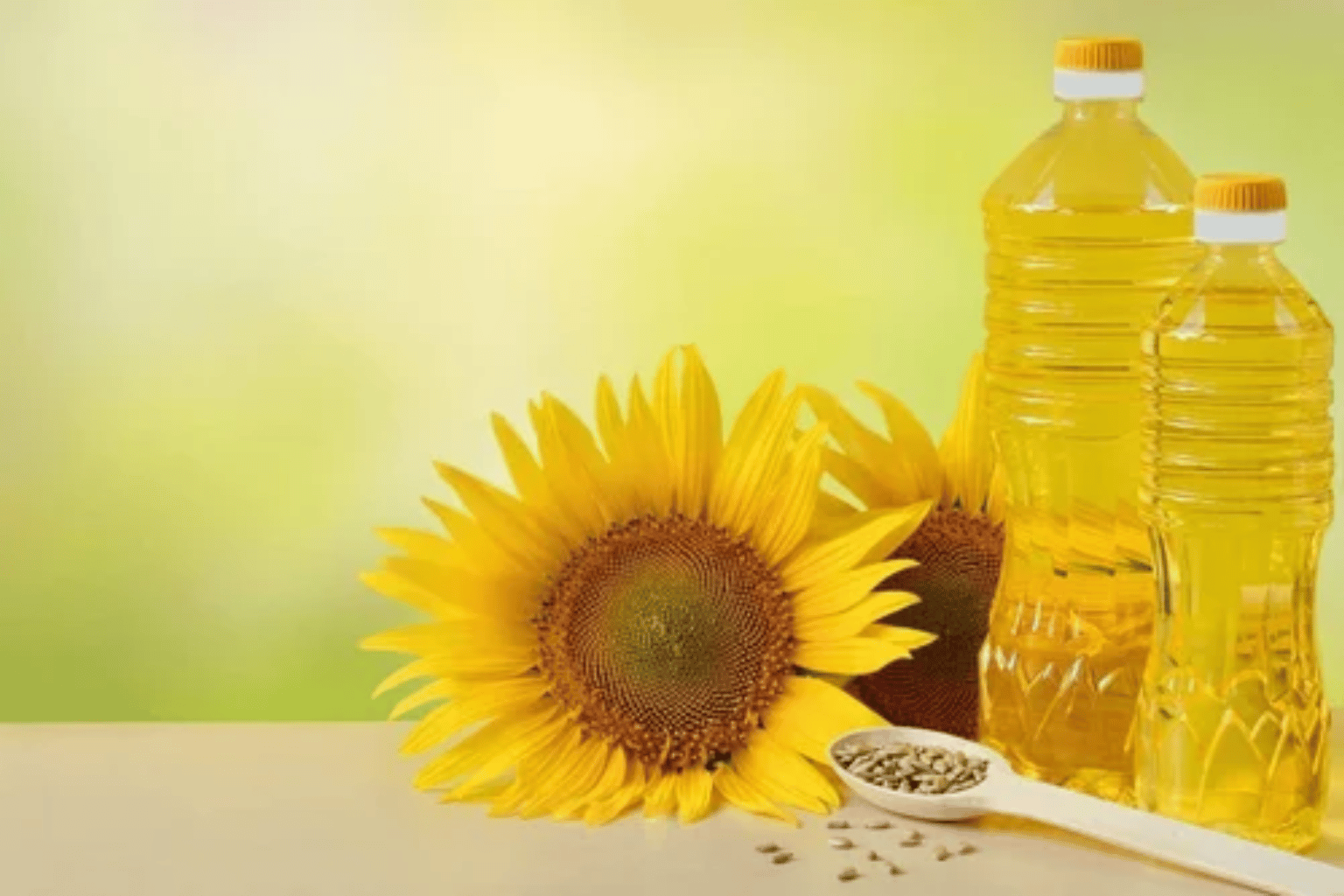 Refined Sunflower Oil Trader in India