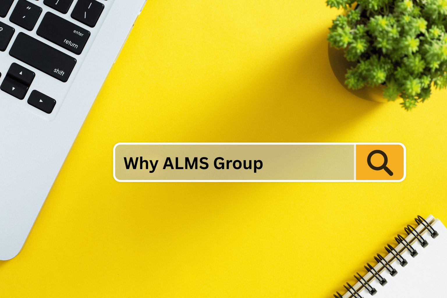 Why B2B Clients Choose ALMS Group​