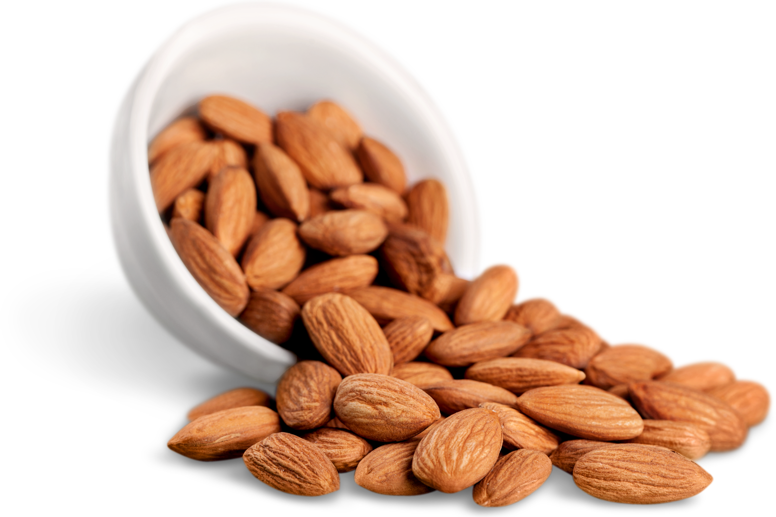 Almond Suppliers in India