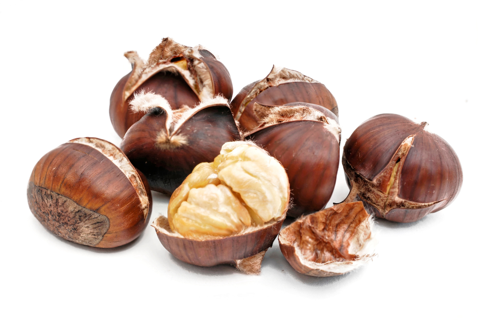 Chestnut Suppliers in India