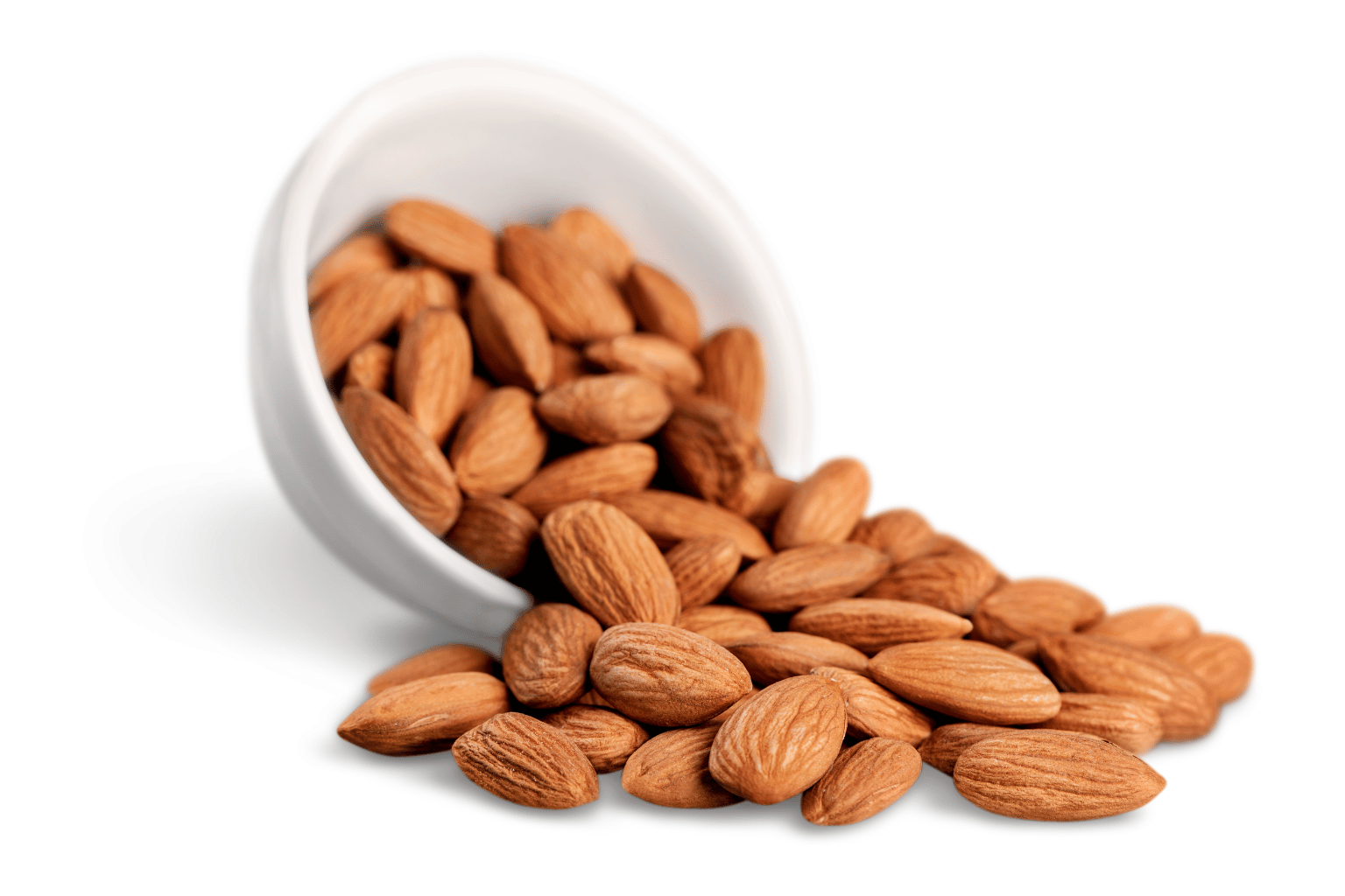 Almond Suppliers in India