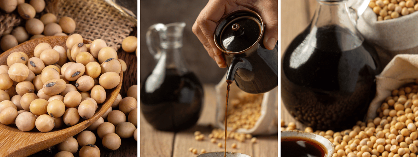 Crude Soya Oil Manufacture and Supliers in India