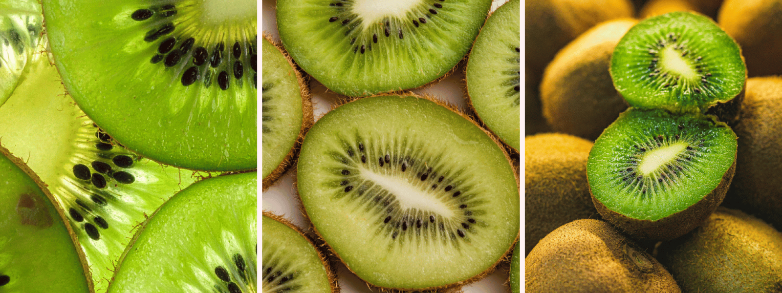 Kiwi Wholesale Suppliers in India