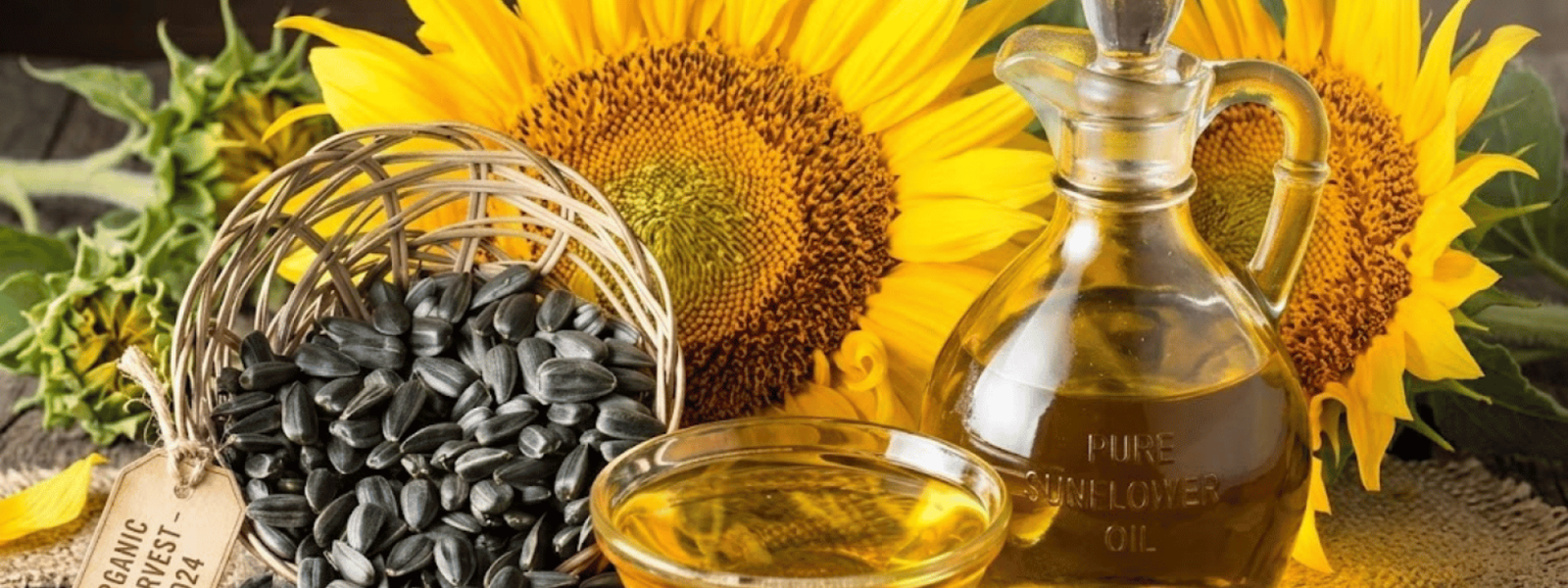 Refined Sunflower Oil Manufacturers in India